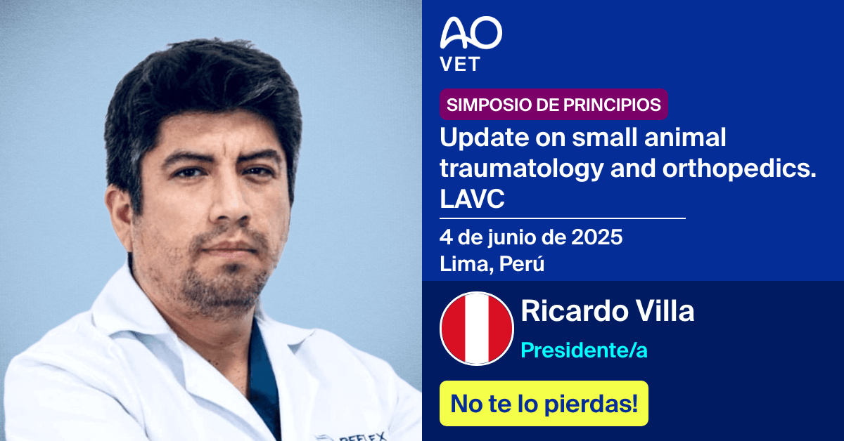Presidente/a
📅 4 de junio de 2025
📍 Lima, Perú