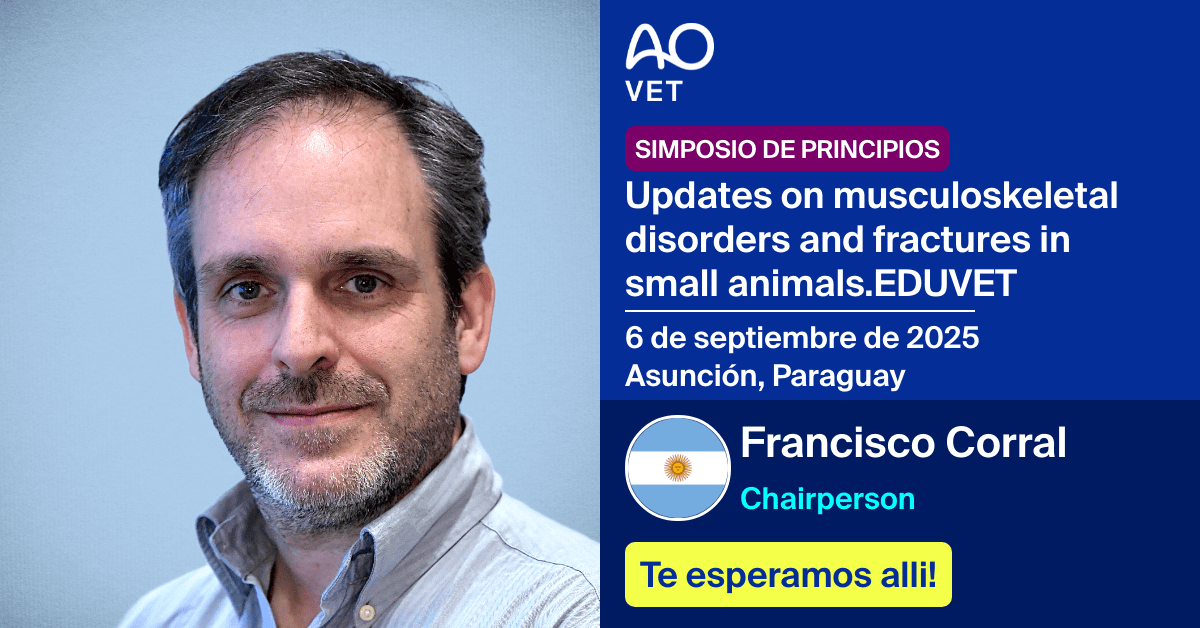 
📅 6 de septiembre de 2025
📍  Asunción, Paraguay