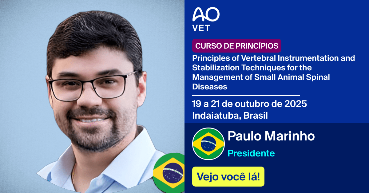 
📅 19 a 21 de outubro de 2025
📍  Indaiatuba, Brasil