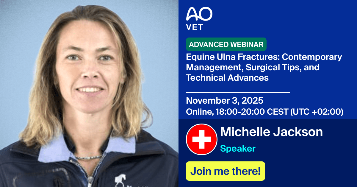 
📅 November 3, 2025
📍  Online, 18:00-20:00 CEST (UTC +02:00)