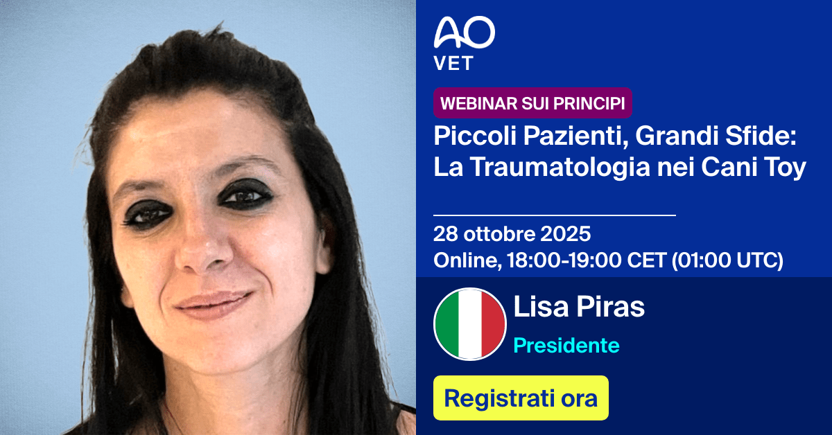 
📅 28 ottobre 2025
📍  Online, 18:00-19:00 CET (01:00 UTC)