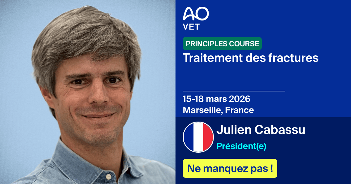 Président(e)
đź“… 15-18 mars 2026
📍 Marseille, France