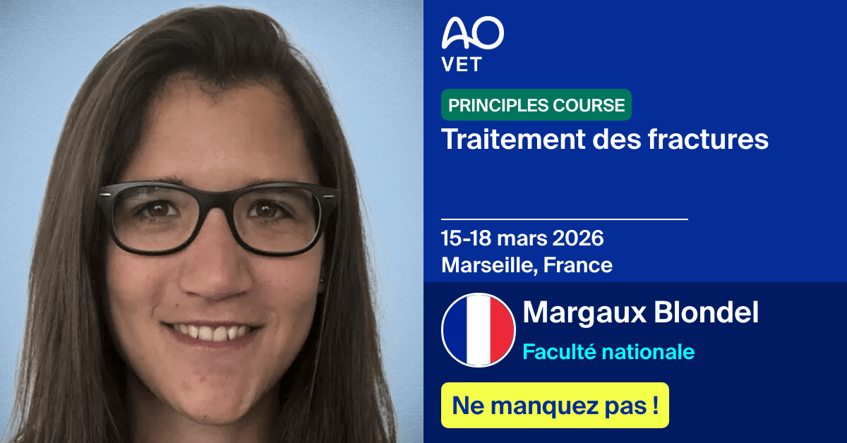 
📅 15-18 mars 2026
📍  Marseille, France