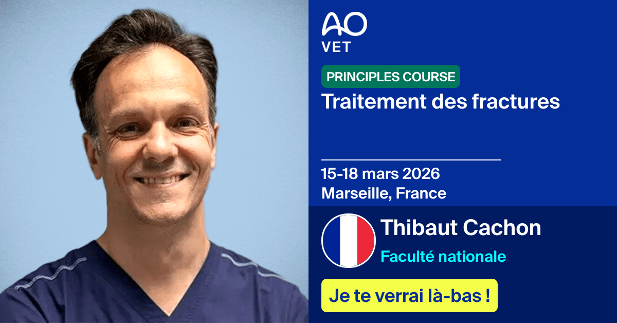 
📅 15-18 mars 2026
📍  Marseille, France