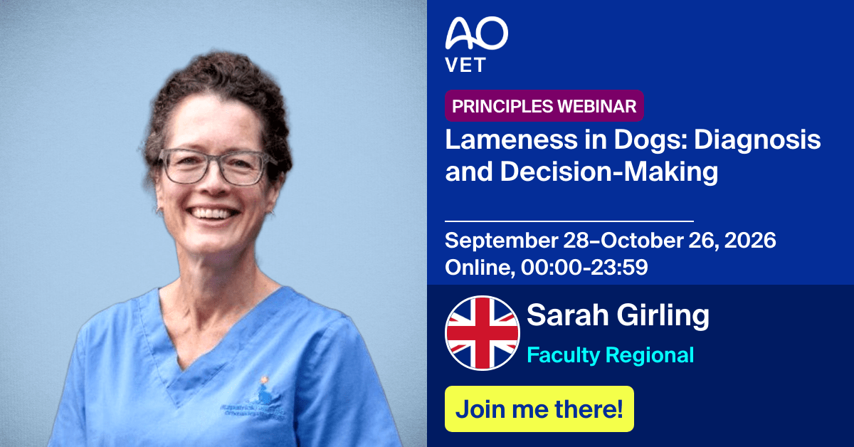 Faculty Regional
📅 September 28–October 26, 2026
📍 Online, 00:00-23:59