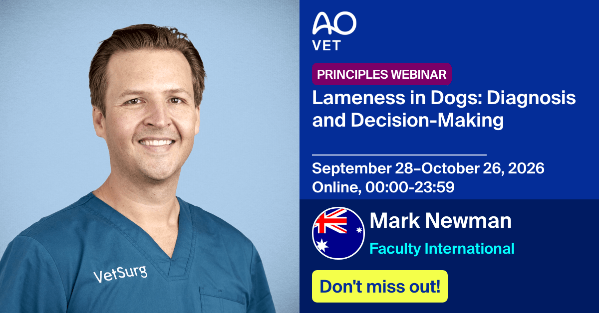 
📅 September 28–October 26, 2026
📍  Online, 00:00-23:59 