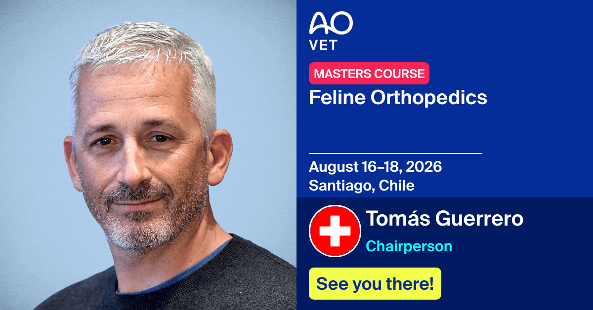 
📅 August 16–18, 2026
📍  Santiago, Chile