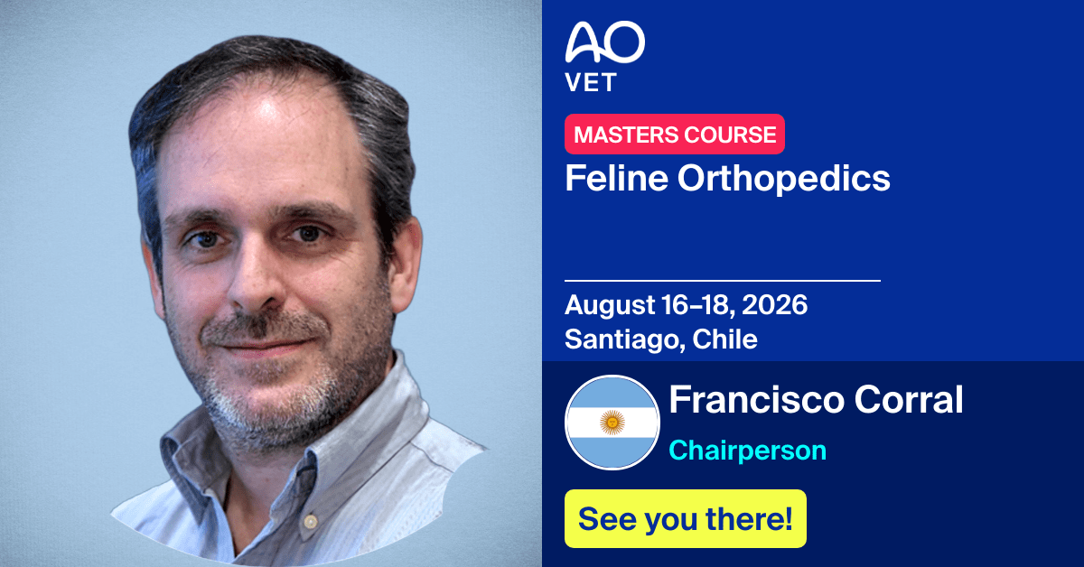 
📅 August 16–18, 2026
📍  Santiago, Chile
