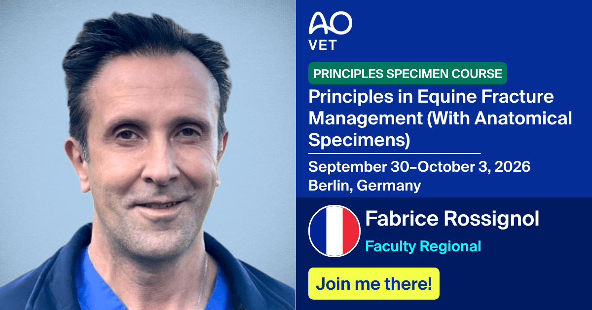 
📅 September 30–October 3, 2026
📍  Berlin, Germany