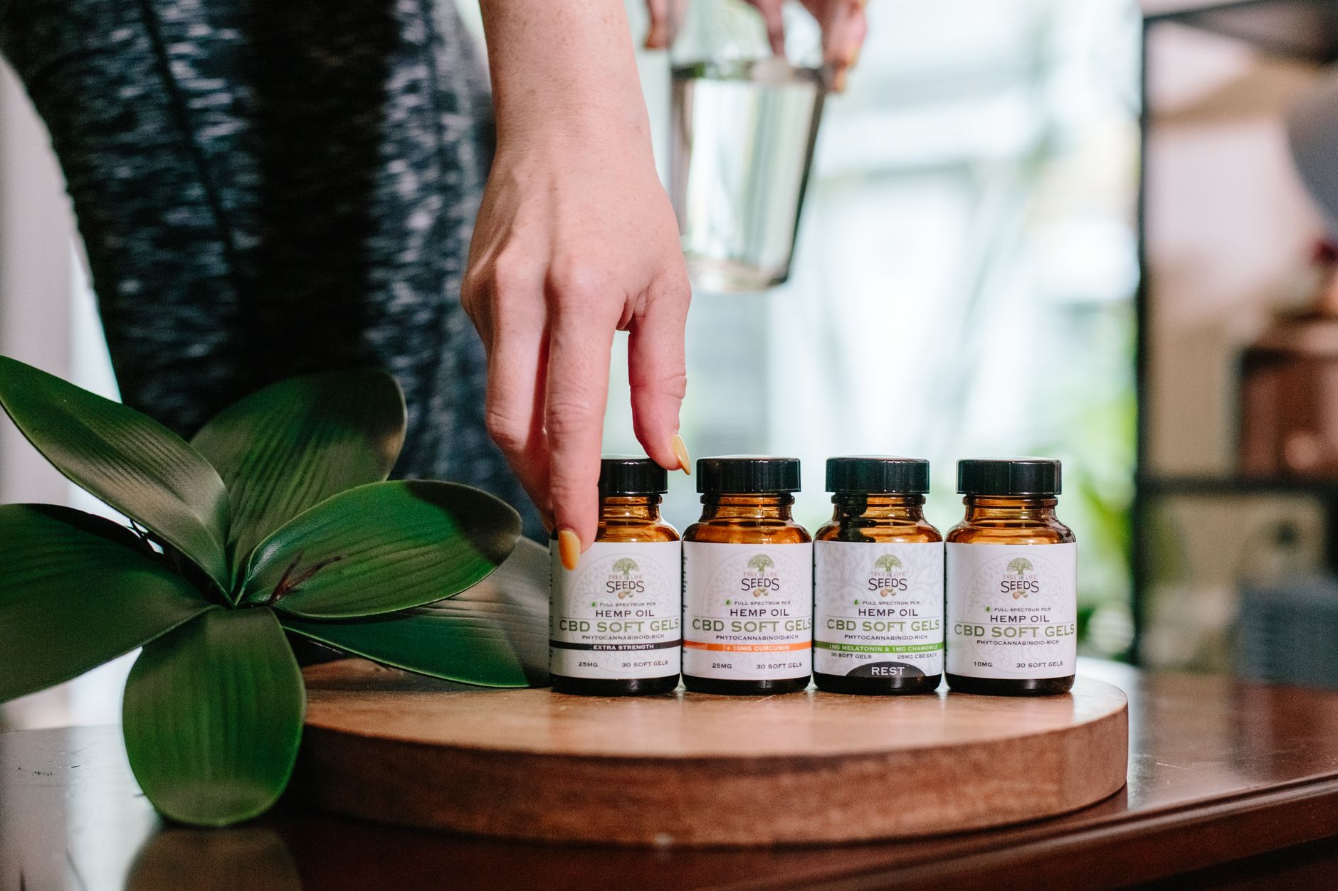 How to Make CBD oil?