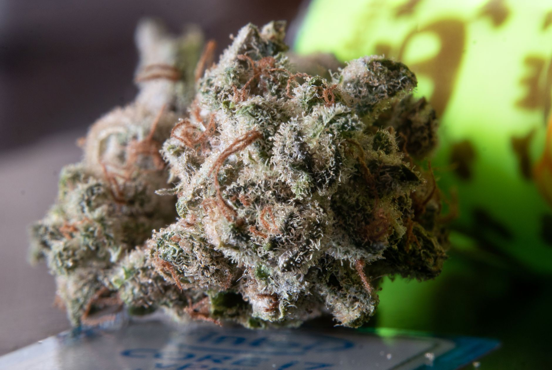 How to get a medical marijuanas card in California online