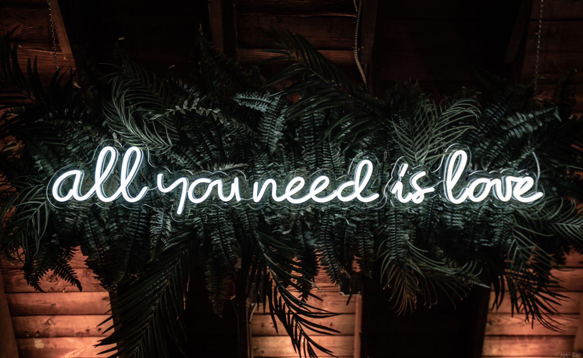 IVF- All You Need To Know