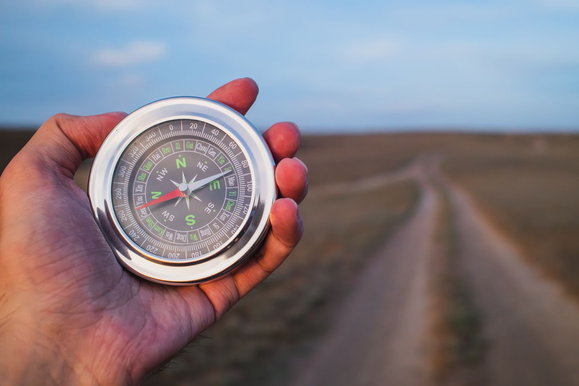 Navigating AI Learning Paths for Career Growth