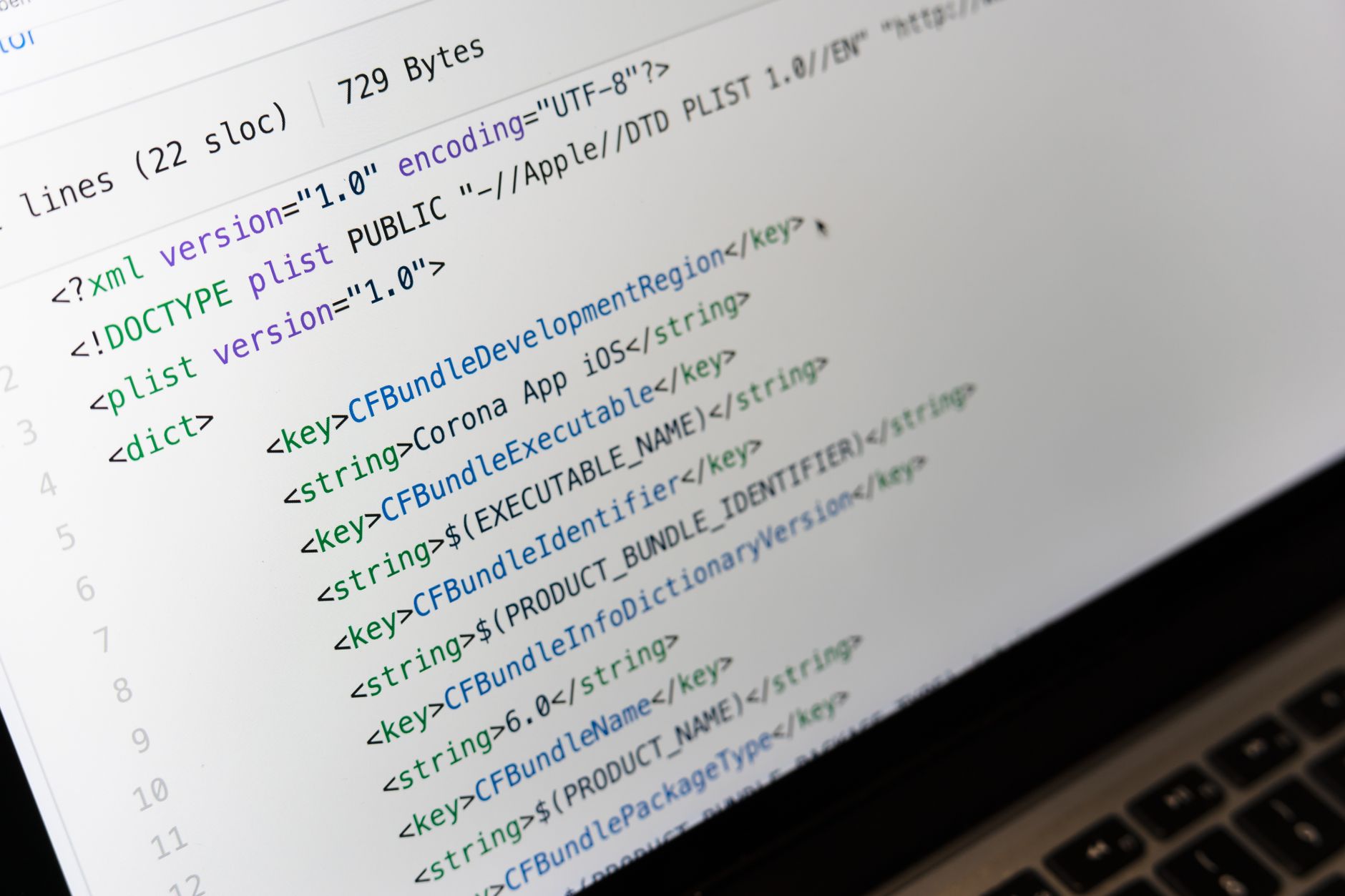 Understanding the Basics of PHP Programming