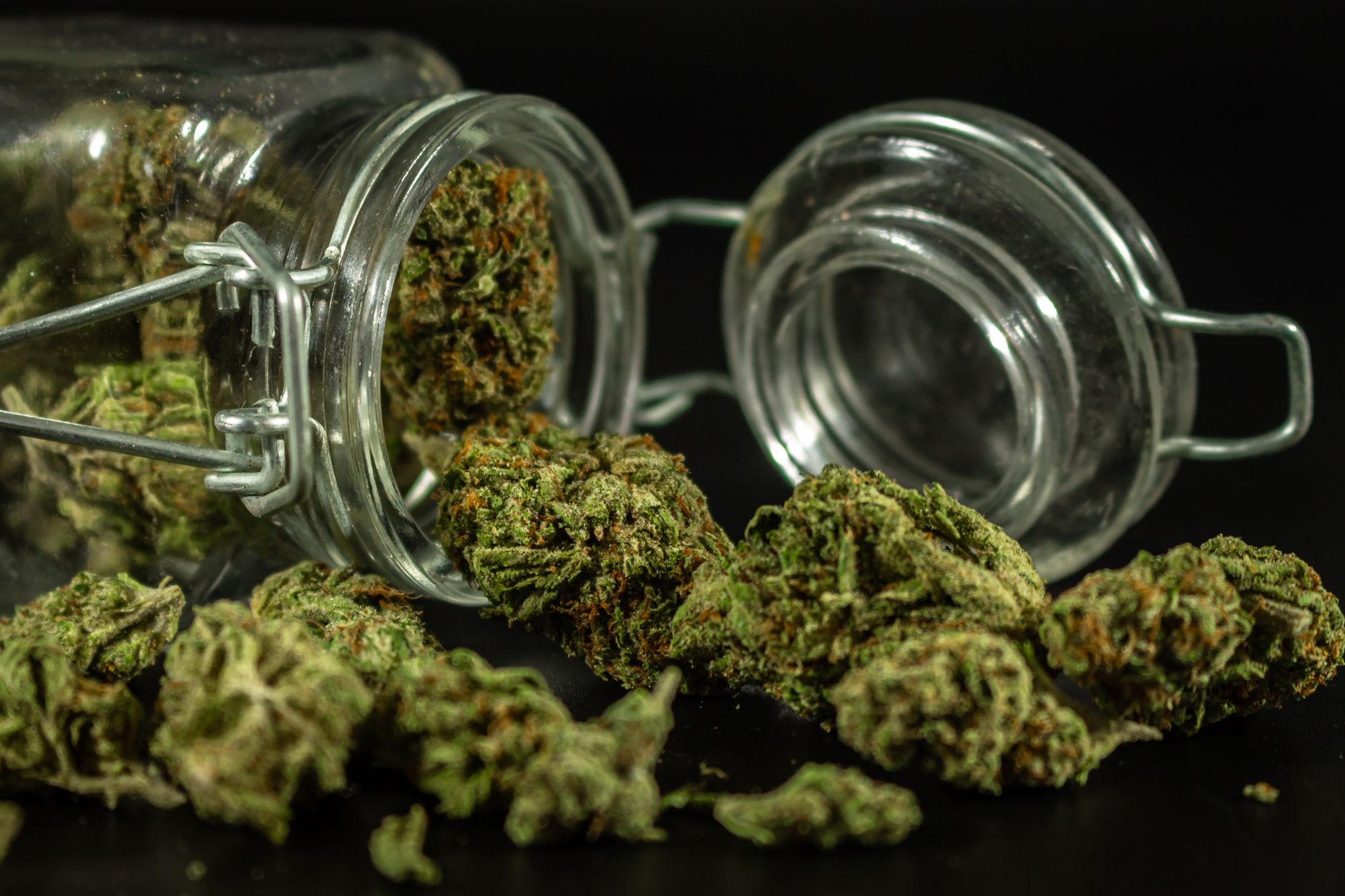 What Are the Benefits of Hemp Buds?