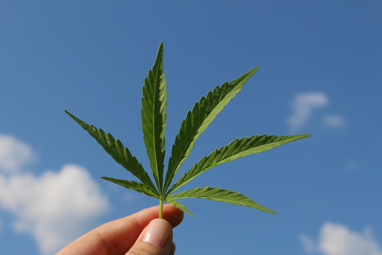 Hemp Flower Pre-Rolls and Joints – A Guide for Beginners