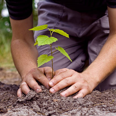 How to Plan for Climate Resilient Infrastructure