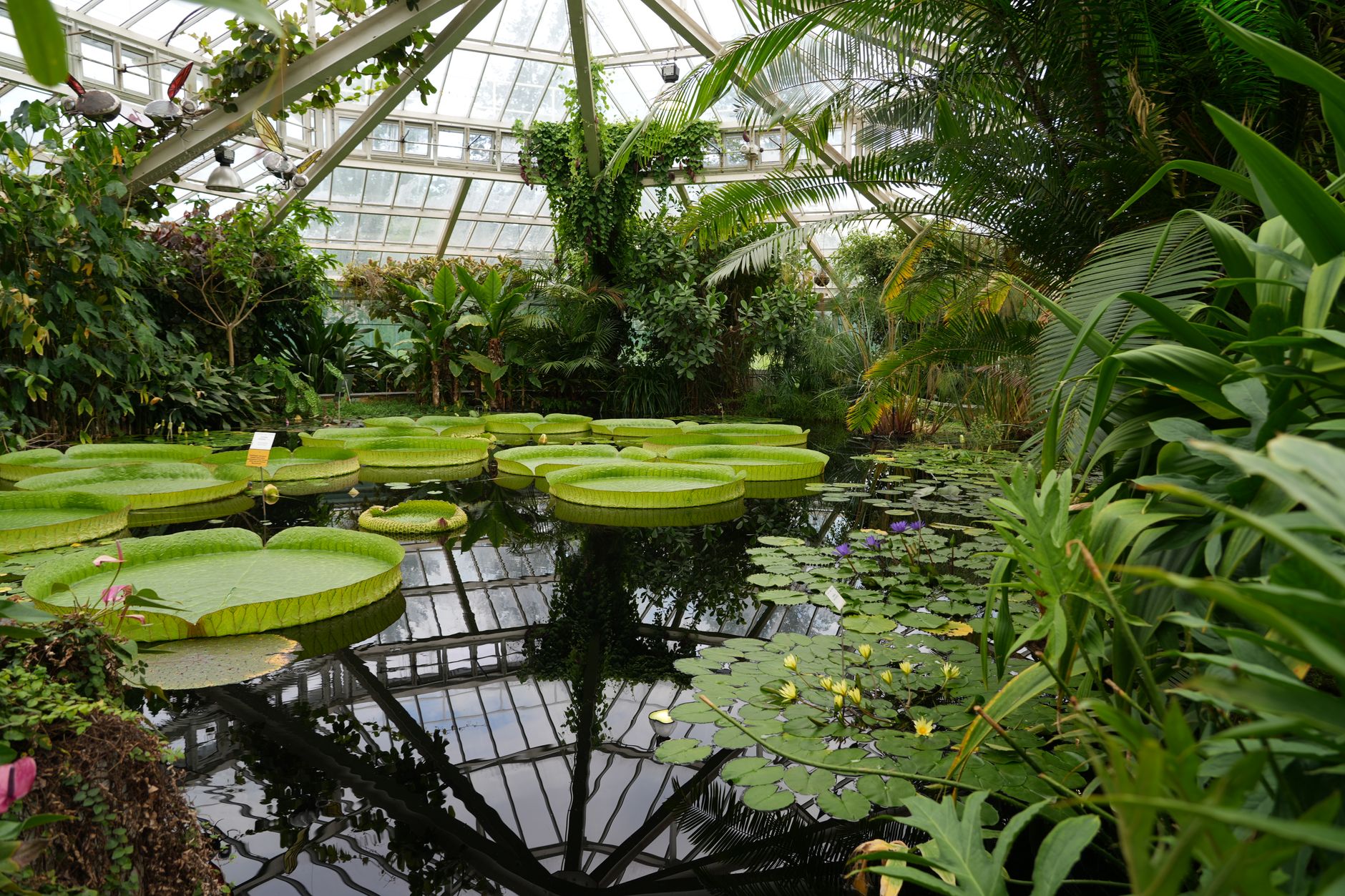 3 Different Ways That You Can Use A Conservatory