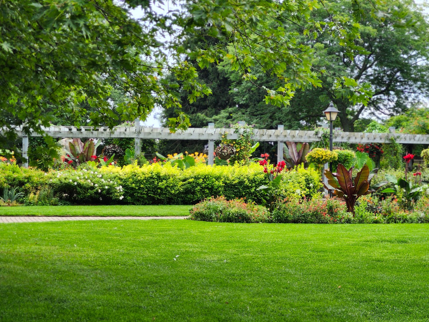 Tips for Choosing the Right Landscape Contractor in Albuquerque