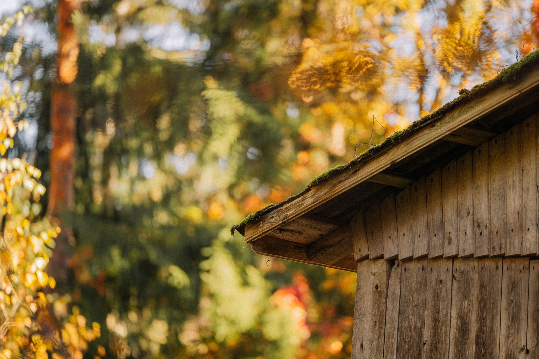 4 Reasons Why Fall is The Best Time for Roof Replacement