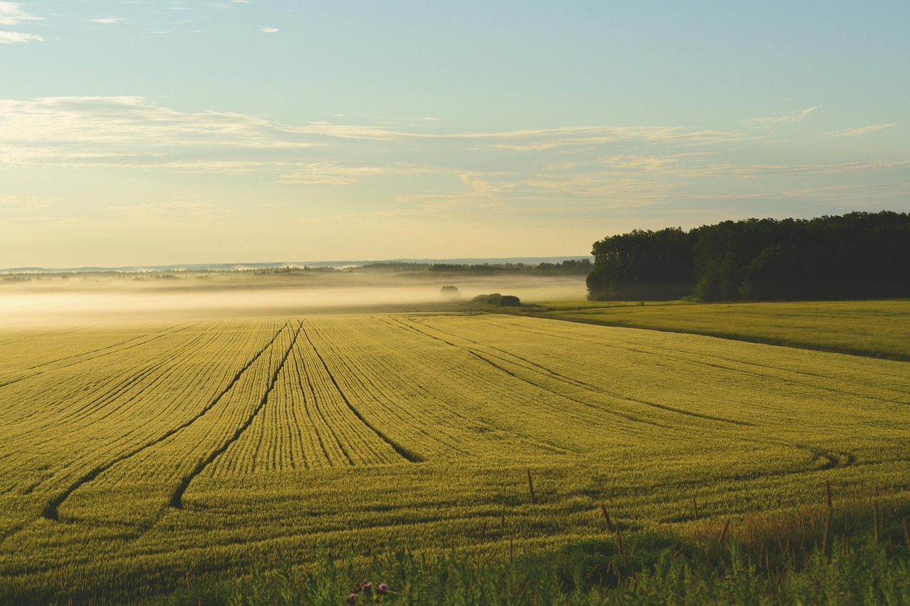 Becoming a Land Surveryor