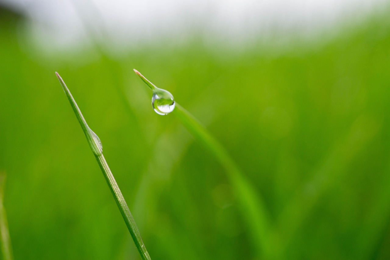4 Things You Shouldn’t Do Wrong After Water Damage