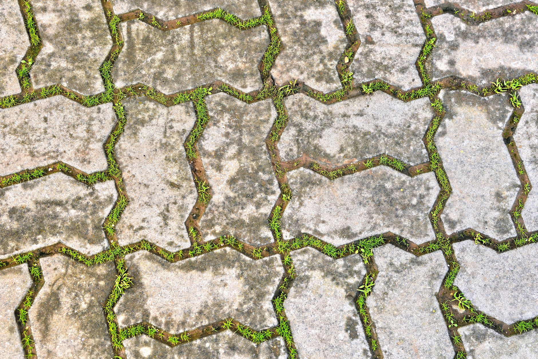 Is Driveway Paver Sealing Worth It? (Guide for Homeowners)