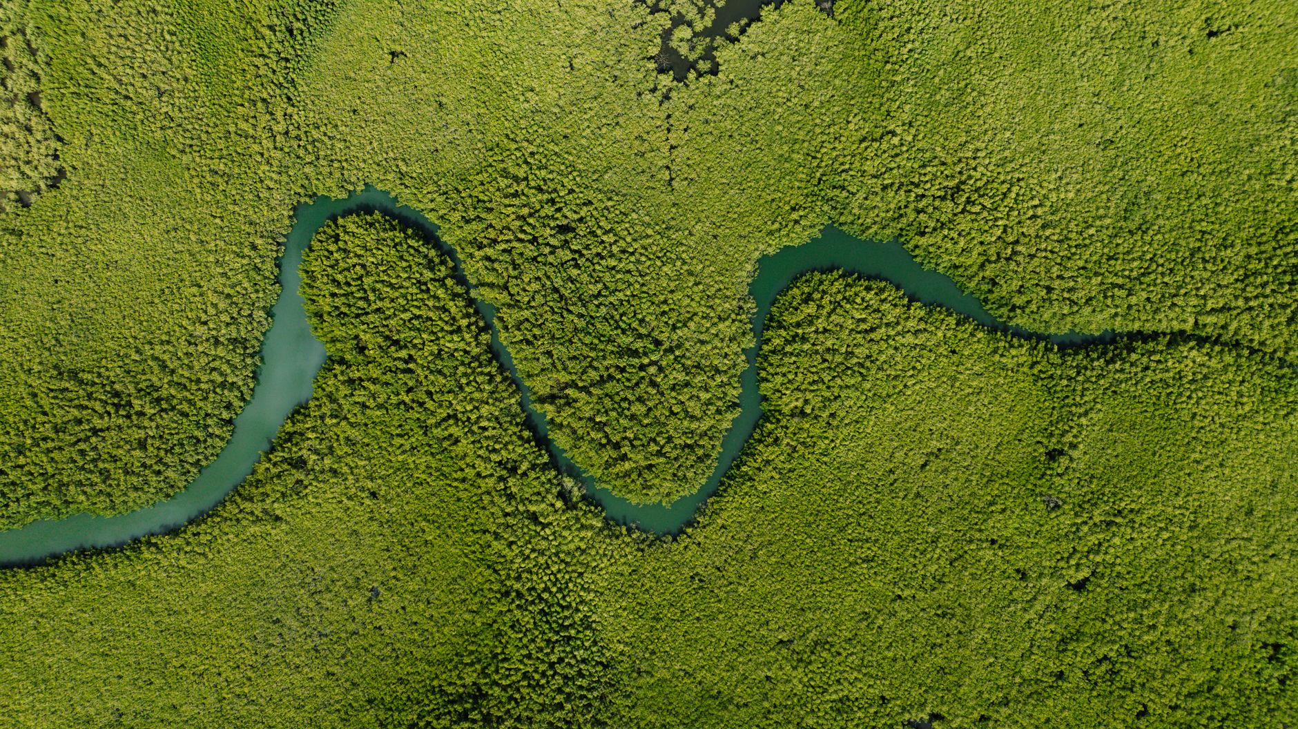 Environmental Consultant: Navigating the Green Frontier