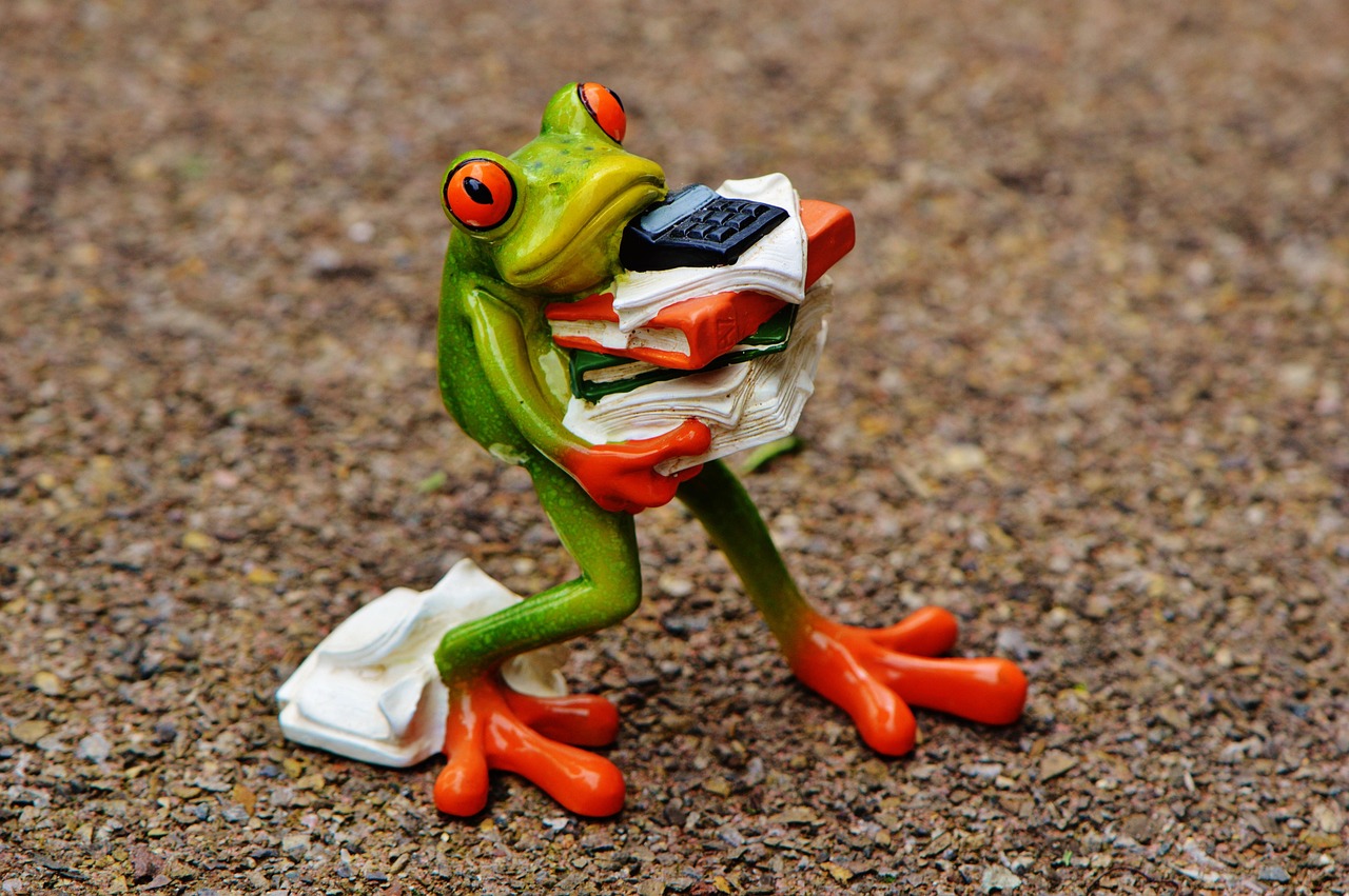 Beyond the Boxes: The Stress-Relieving Benefits of Hiring a Moving Company