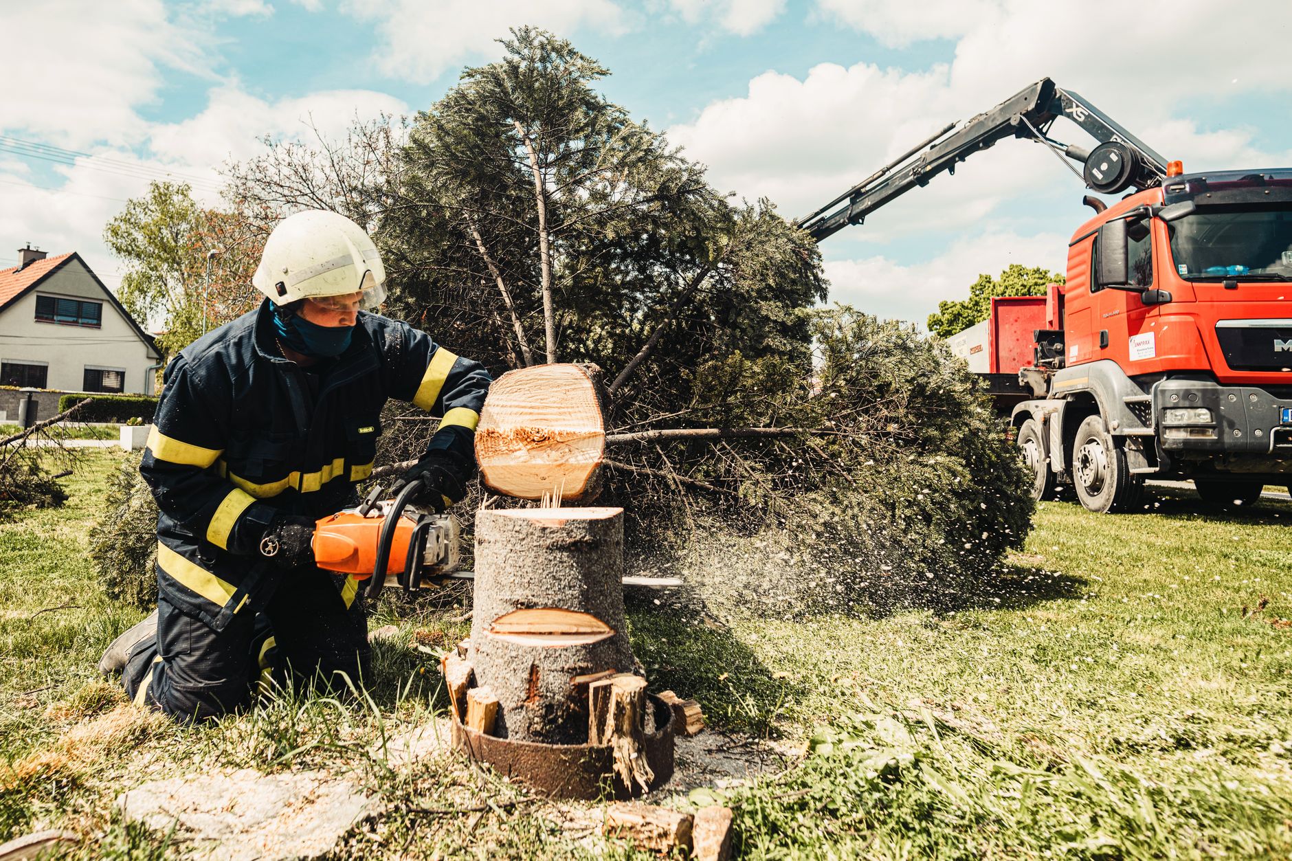 Should You Grind or Remove a Tree Stump? Key Differences Explained