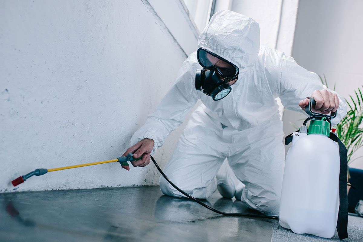 Understanding the Lifecycle of Pest Control in Bismarck and Fargo