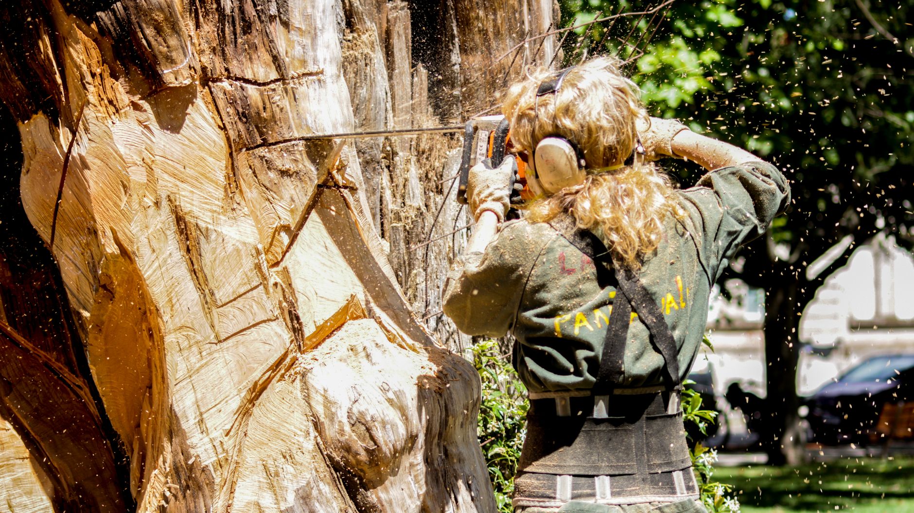 The Benefits of Routine Commercial Tree Service for Safer and More Attractive Properties
