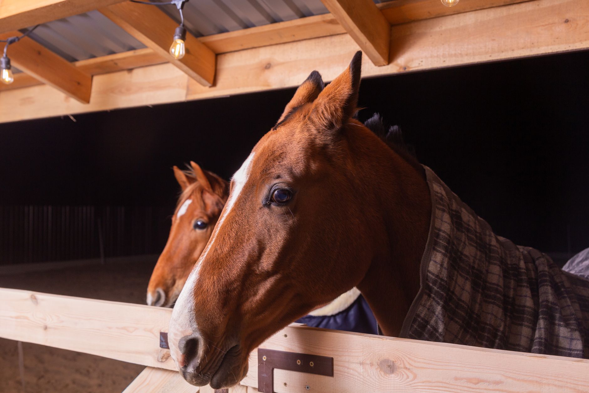 Convenient and Versatile Equine Accommodation