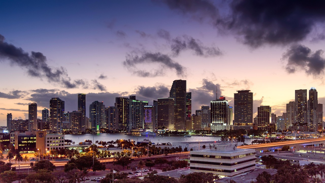 Effective Mold Removal in Miami: Protecting Your Home and Health