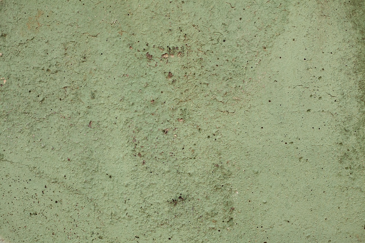 Enhance Your Home Venetian Plaster Walls from Trusted Suppliers