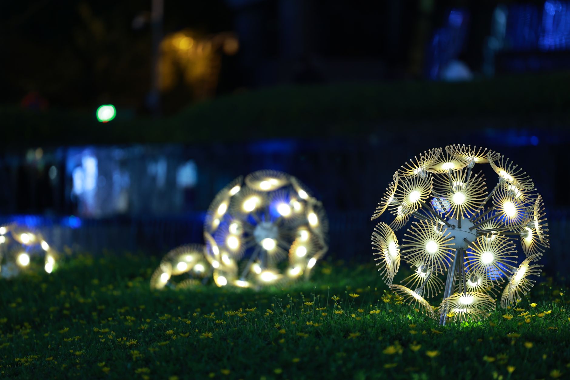 How to Light Up Your Garden