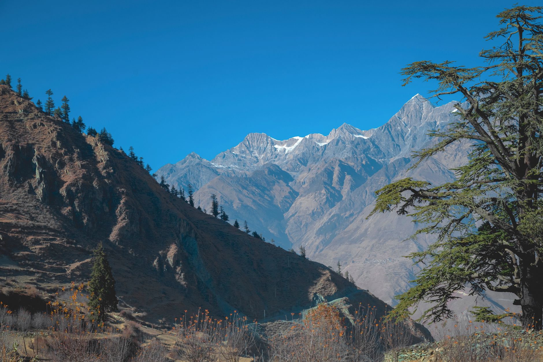 Unveiling Manaslu: A Himalayan Trek