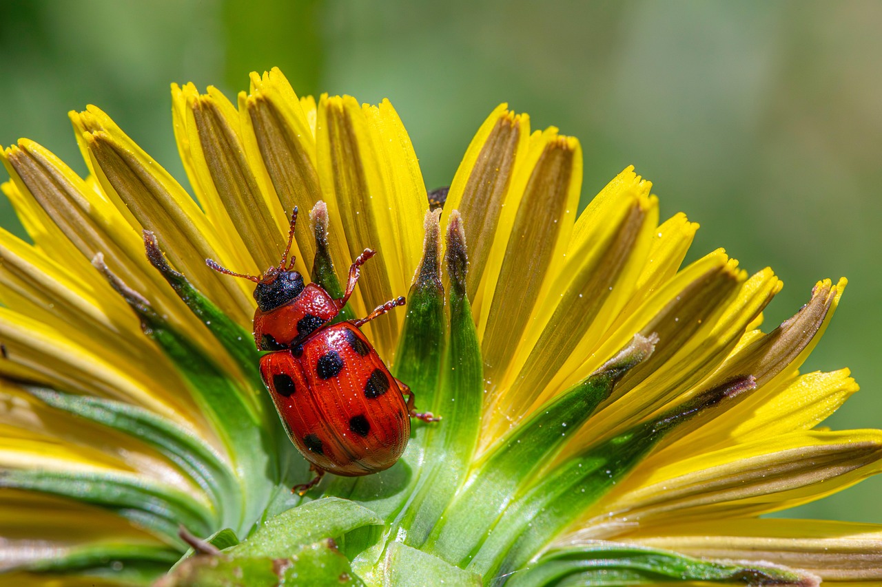 The Best Pest Control Strategies for Grocery Stores (That Actually Work)