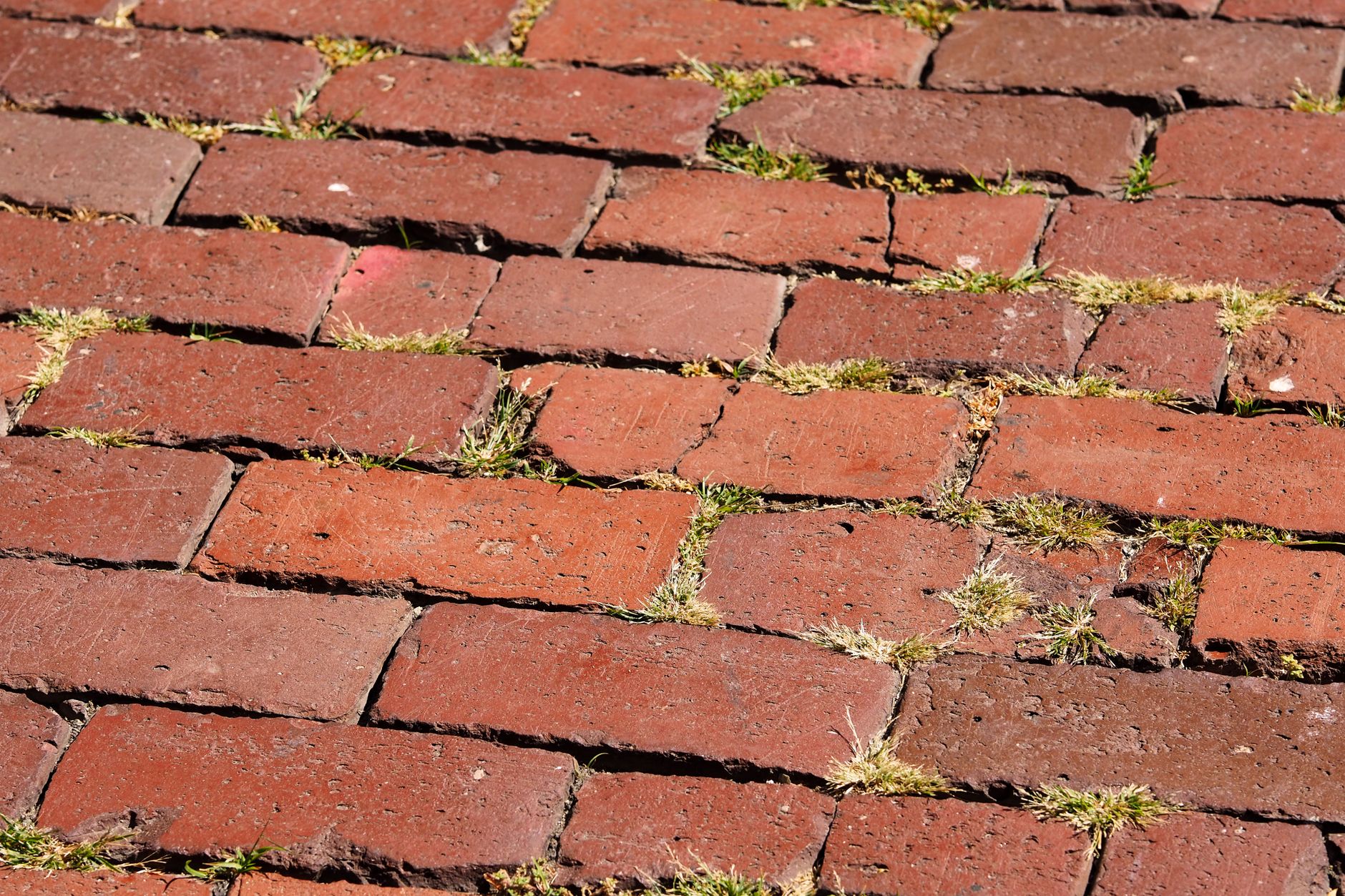 Creative Ideas for Your New Paver Walkway