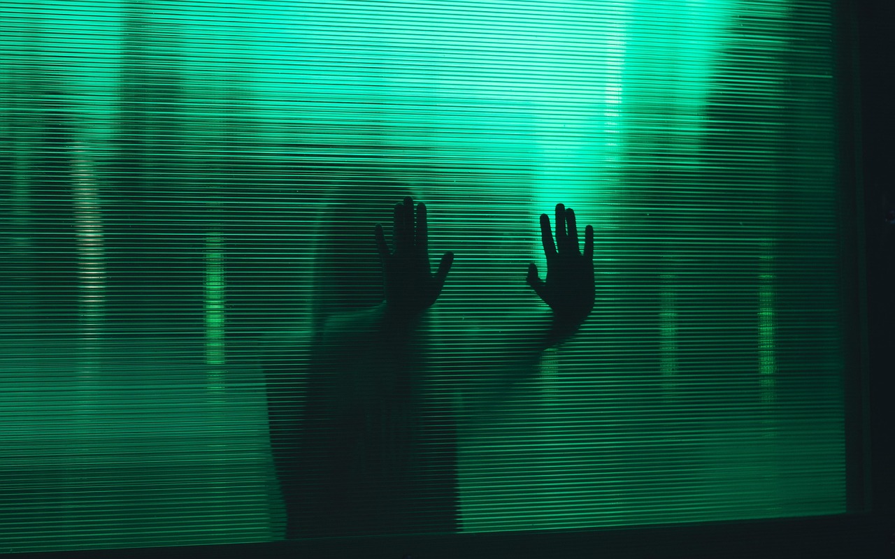 The Invisible Investment: How Phantom Retractable Screens Increase Home Value