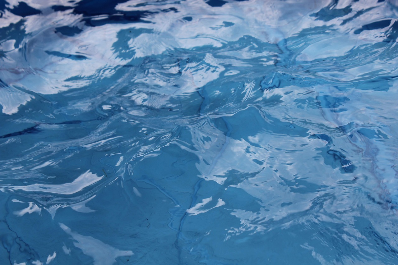 Lowe’s expands decorative geese, pools availability in 1,700+ stores