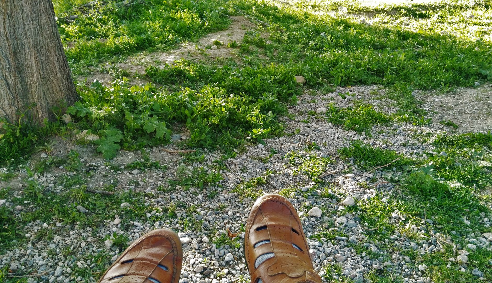Exploring the Comfort and Style of Casual Barefoot Shoes