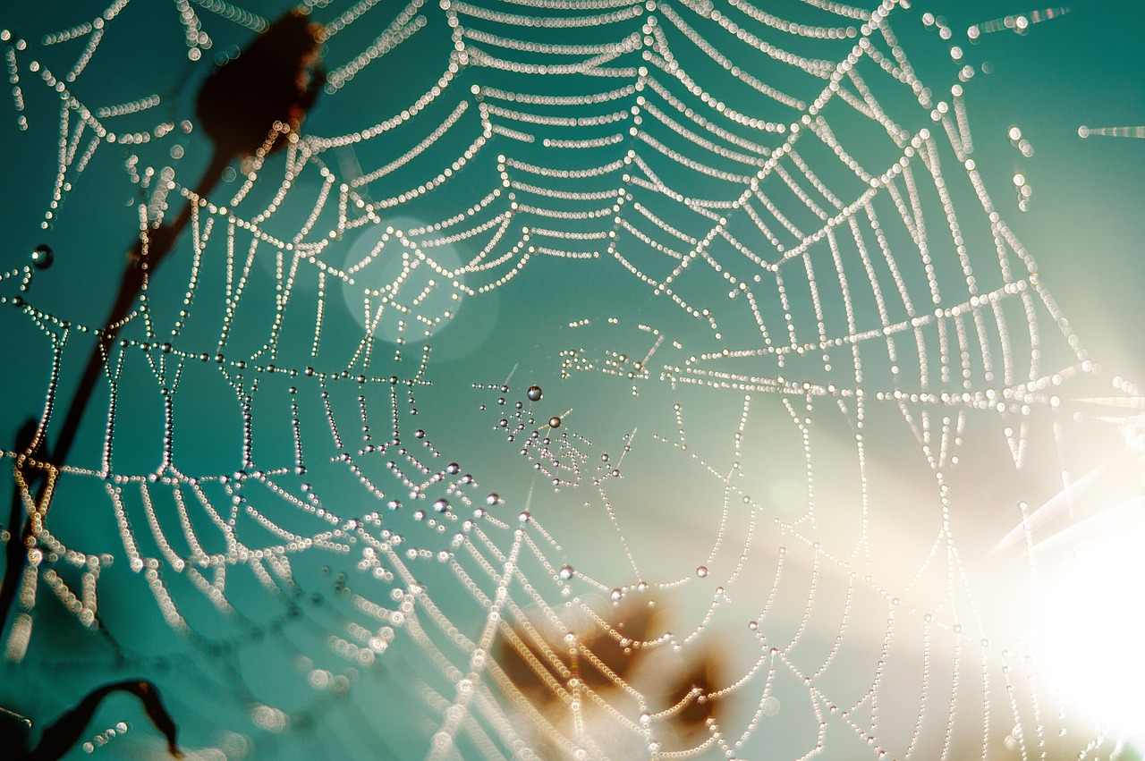 A Beginner’s Guide to Web Hosting: Everything You Need to Know