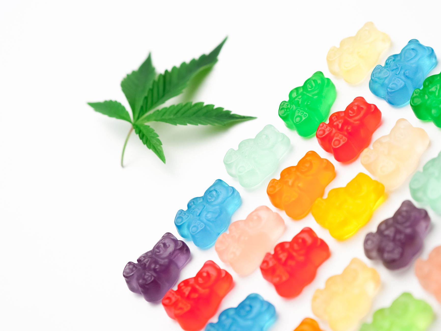 CBD Edibles Recipe