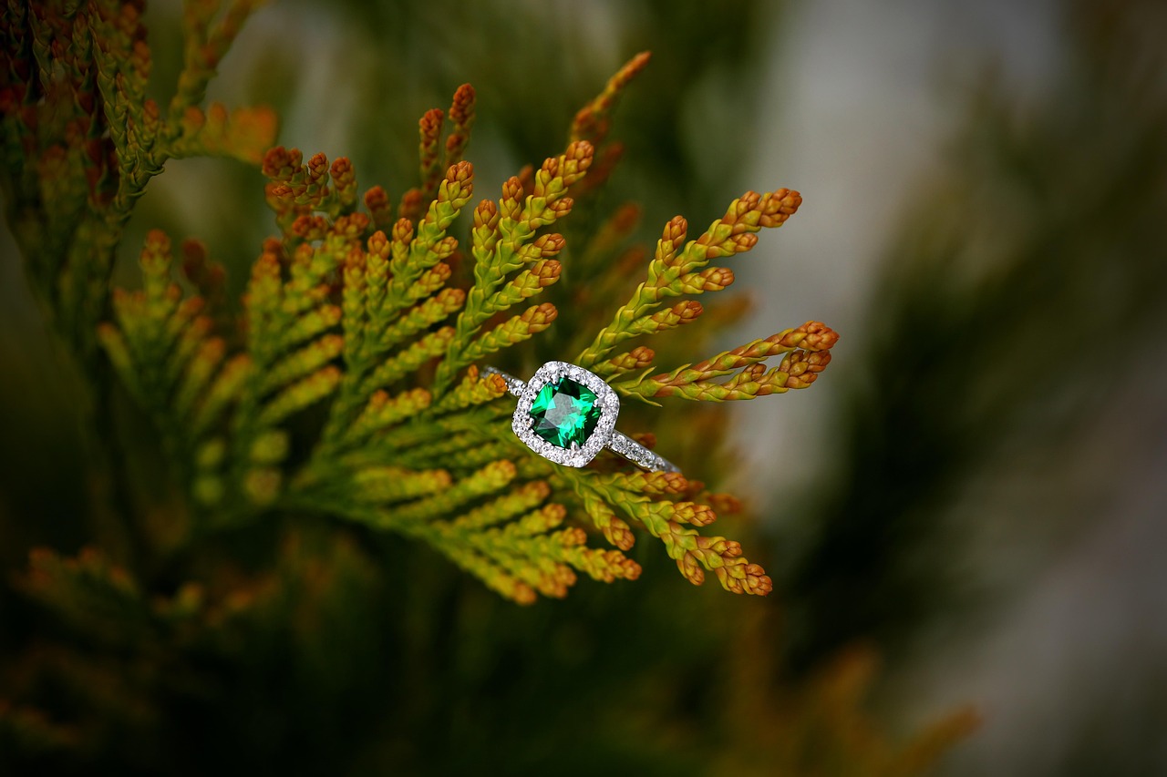 The Engagement Ring