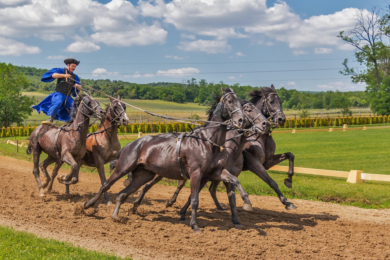 Protecting Your Passion: The Importance of Horse Rider Insurance