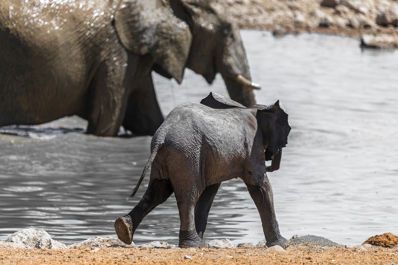 South Africa: A Hidden Gem for Crypto Arbitrage Traders
