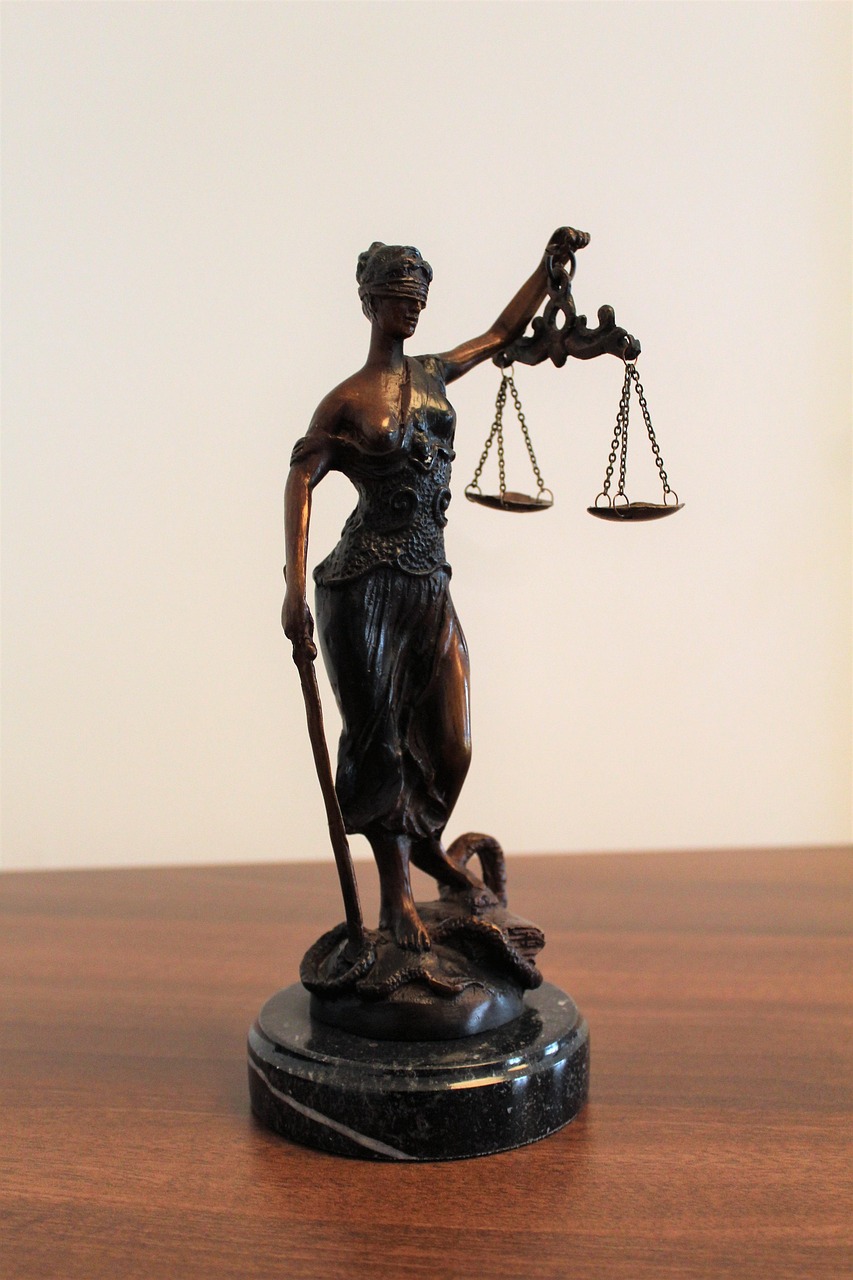 Advantages and Benefits of Using Immigration Law Firm Services