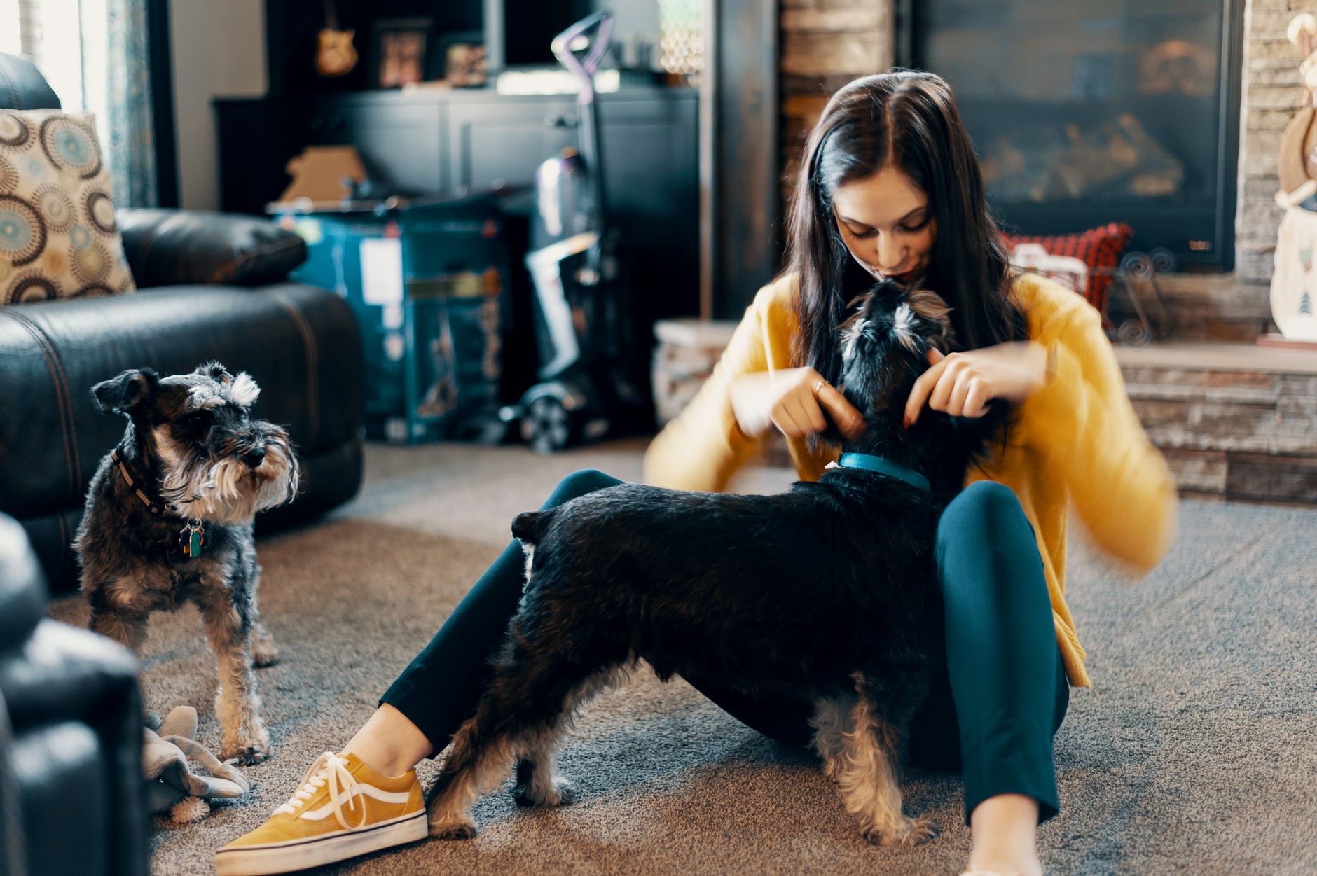 In Which Member of the Family Will the Pet Reside?
