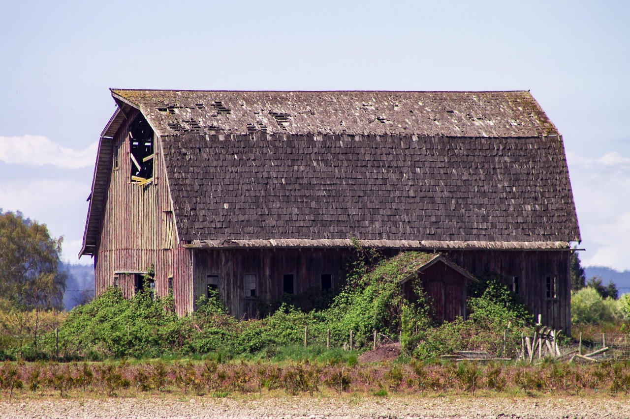 Should Washington Modify the ERISA to Help the States